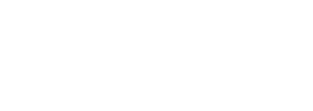 Pontes Graphic Sports Designer
